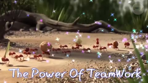 Teamwork and Leadership | Animated short clip