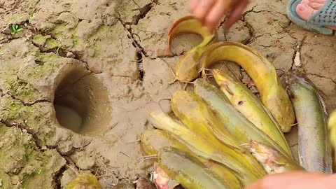 Unbelievable method for fishing: Use a snake to catch fish in a deep pit.