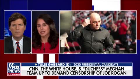 Tulsi Gabbard defends Joe Rogan, slamming censorship