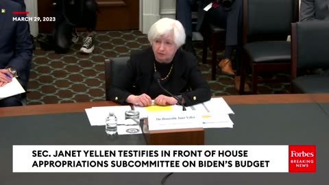 Sec. Janet Yellen Testifies In Front Of The House Appropriations Subcommittee On Biden's Budget