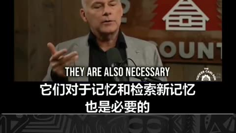 Michael Niles 博士：政府继续向人们推广无效的 mRNA 疫苗，这绝对是有史以来最邪恶的事情！ #mRNA疫苗被证明不能阻止病毒传播 #银蕨时事