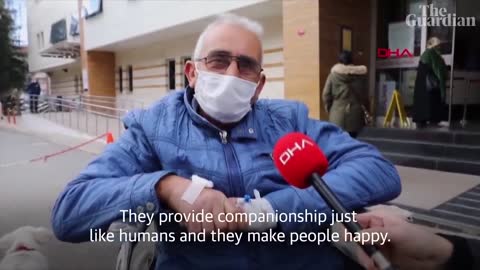 How Boncuk the dog waited days outside Turkish hospital