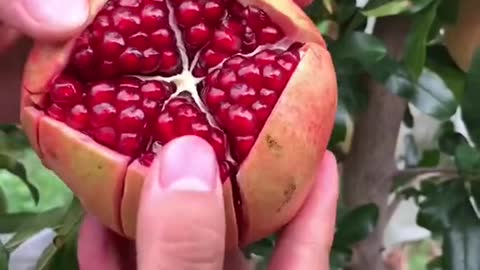 satisfyingvideo #fruits #satisfyingvideo