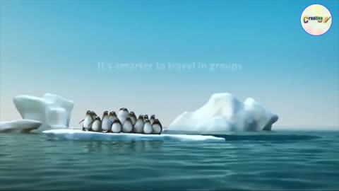 Teamwork and Leadership/Animated short video 📷 creative content 1