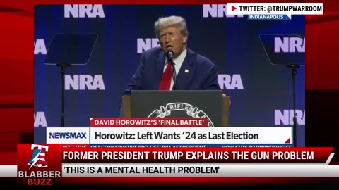 Former President Trump Explains The Gun Problem