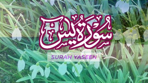 Surah Yaseen || The heart of Quran || Beautiful recitation || Relaxing Video || Peace of mind