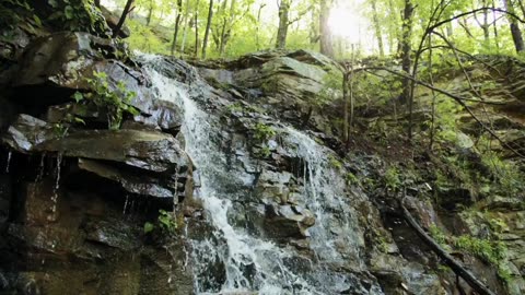 Waterfalls: Beauty and Ecology