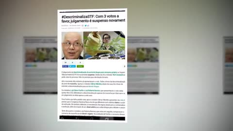 Notícias Brasil