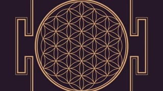 Flower of Life Yantra