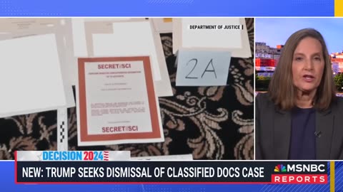 ‘Nothing is certain’ in any case as Trump seeks to dismiss classified documents trial: analyst