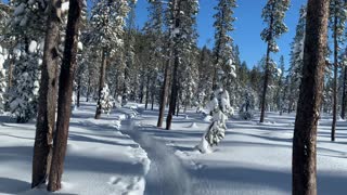 Walking Through a Winter Postcard – Central Oregon – Swampy Lakes Sno-Park – 4K