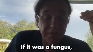 Is cancer a fungus?