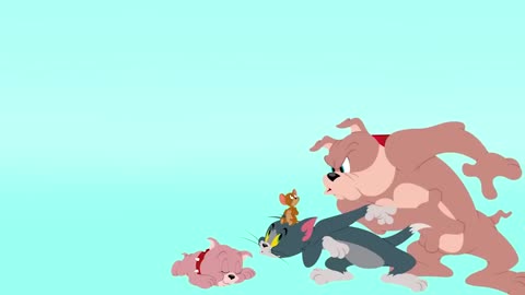 Tom & Jerry Show I Parkta Kovalama | Boomerang