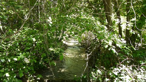 Lytle Creek