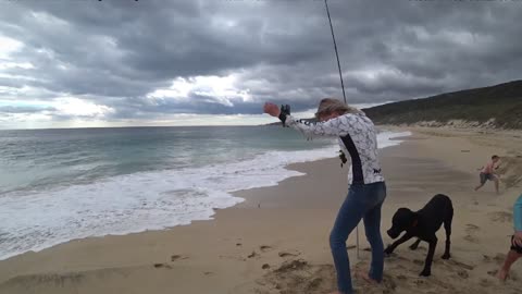 Dog Startles a Beachgoer