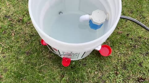 BirBlue Automatic Chicken Waterer