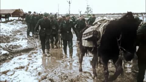 World War 2 - Operation Barbarossa Footage