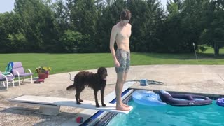 July 4, 2021 - Shaggie the Rescue Dog Loves the Pool (and the Diving Board)