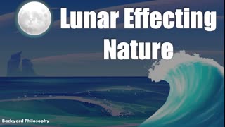 How Lunar Cycles Effecting Nature