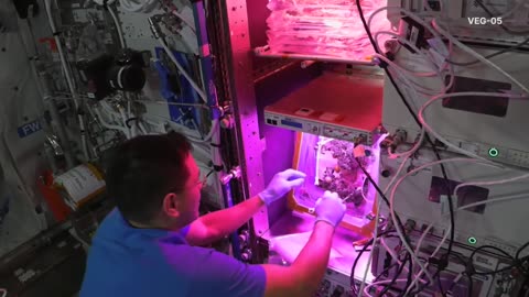 NASA's Cosmic Greenhouse: Cultivating Life Beyond Earth 🌱🚀