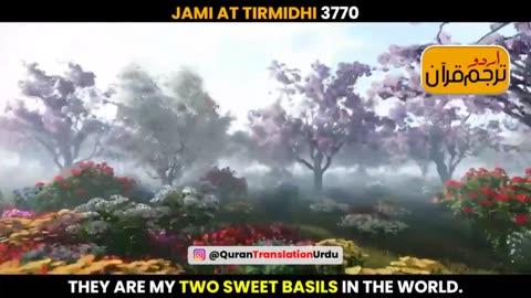 JAMI AT TIRMIDHI 3770|ISLAMI BAYAN|QURAN|URDU TRANSLATION|