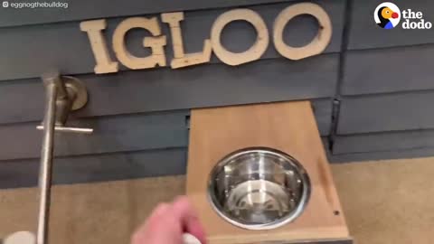 Take a Tour of The Most Luxurious Dog Houses Ever | The Dodo