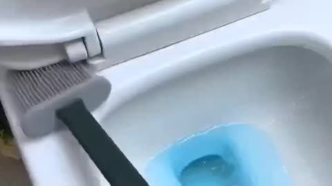 Toilet Cleaner