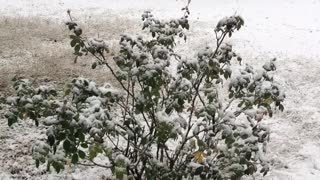 Snow in Central Texas