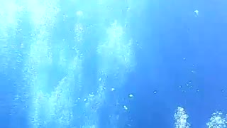 Scuba Diving USS KittyWake Grand Cayman