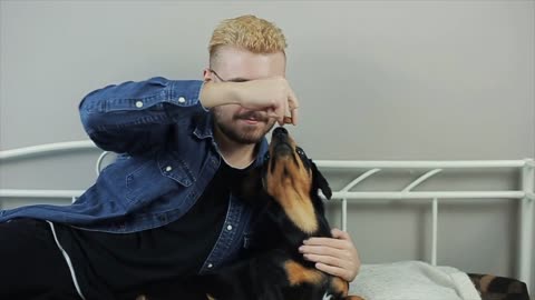 Young cheerful stylish man playing with the dog dachshund on the bed. Man and dog having fun