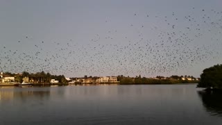 Bird Island Jupiter Florida