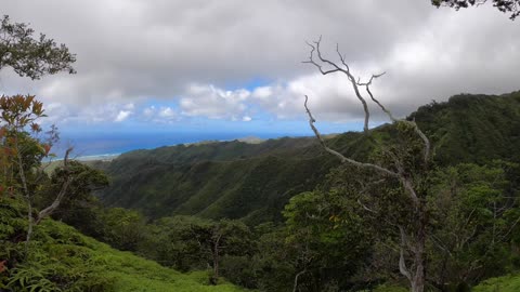 Kuliouou Trail