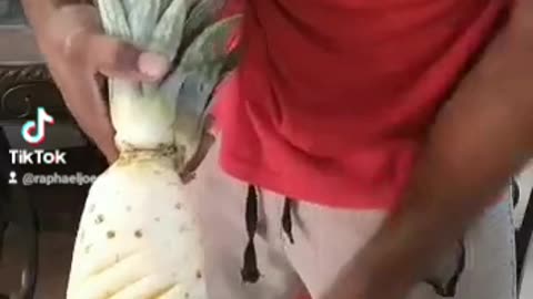 Peeling pineapple