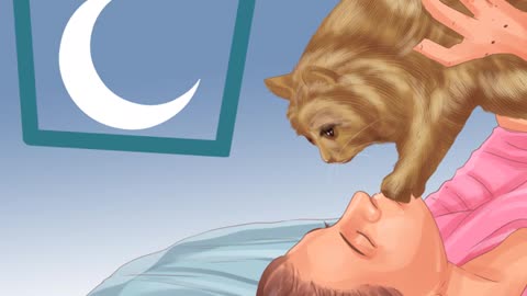GET YOUR CAT TO SLEEP WITH YOU.