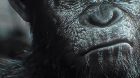 Planet of the Apes Edit 4k _ #viral #edit #movie #apes #shorts #4k #war #planet