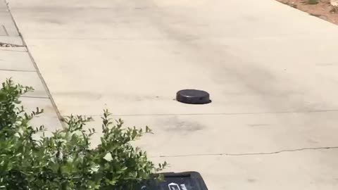 Robot vacuum fed up with quarantine makes a run for it