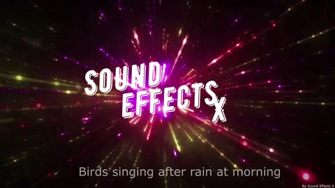 Birds singing after rain at morning [Sound Effects X]