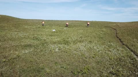 2019 Pyke North Dakota Sharptail and Hun Hunting