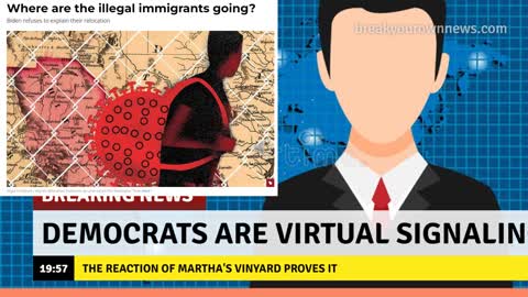 Democrats are Virtual Signaling Frauds