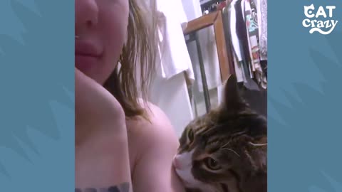 Cat is very involved in moms beauty routine