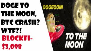 Doge to the Moon, BTC Crash? WTF!? (Exclusive)