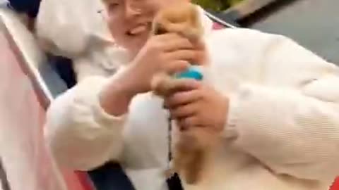 New video of dog