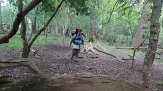 Walking towards a fallen tree. A natural seat.