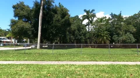 (00244) Part Three (D) - Fort Myers, Florida. Driving the Hood!