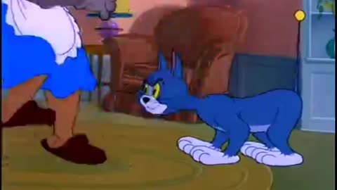 Funny Tom and Jerry cartoon videos, cartoon funny Video,