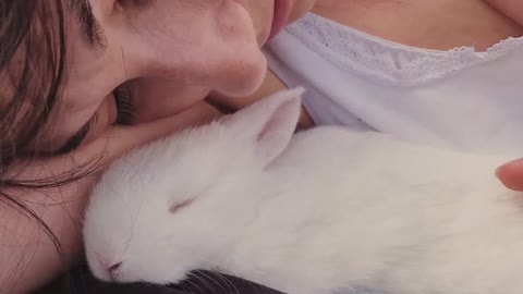 How Rabbits Choose Their Favorite Person