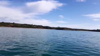 Cruising past Motuihe Island