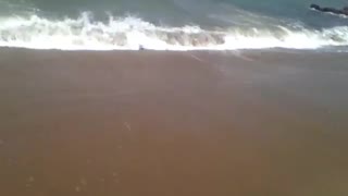 Filming the waves on the shore, the sea is always rough in this part [Nature & Animals]