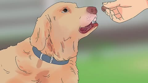 SIX EASY STEPS ON HOW TO TRAIN YOUR DOG