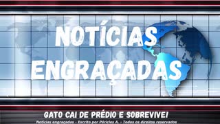 Notícias engraçadas: Gato cai de prédio e sobrevive!